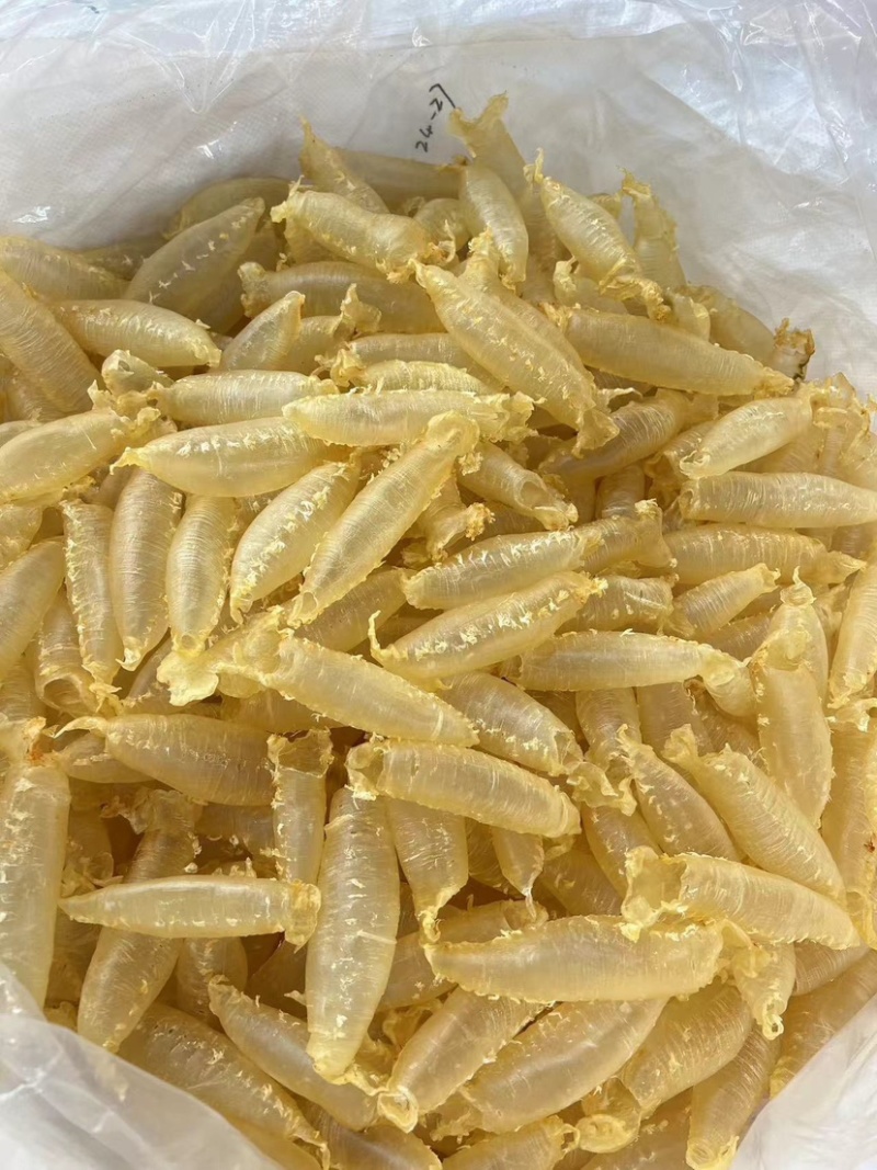 湛江赤嘴筒鳘鱼胶花胶