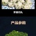 荠菜块荠菜馅速冻荠菜长年有货，量大优惠，对接全国市场