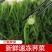 荠菜块荠菜馅速冻荠菜长年有货，量大优惠，对接全国市场