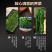 荠菜块荠菜馅速冻荠菜长年有货，量大优惠，对接全国市场