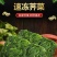 荠菜块荠菜馅速冻荠菜长年有货，量大优惠，对接全国市场
