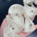 干挑溯源码大盏，100克装