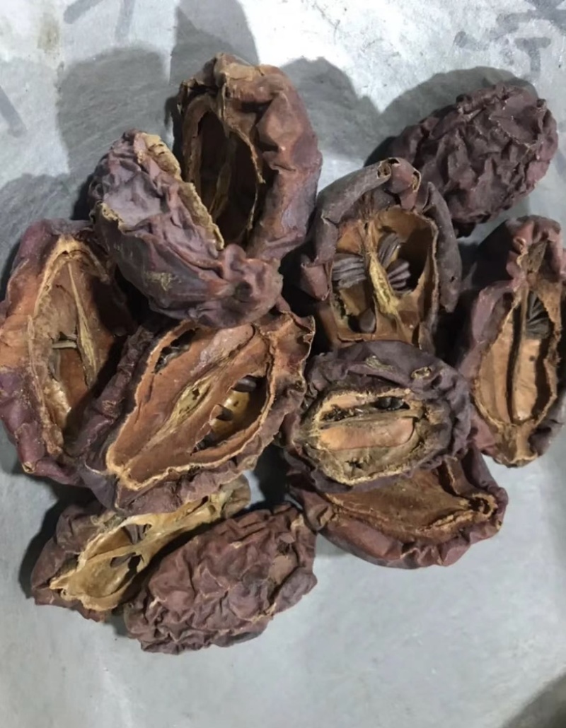 皱木瓜木瓜片实拍发货如图