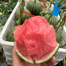 冰糖子西瓜