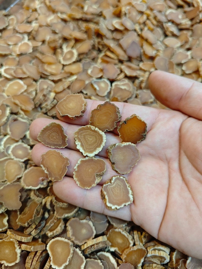 特大高丽参车轮片