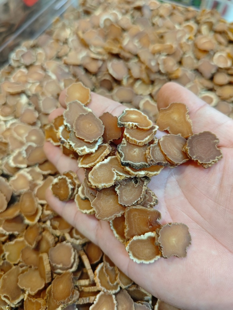 特大高丽参车轮片