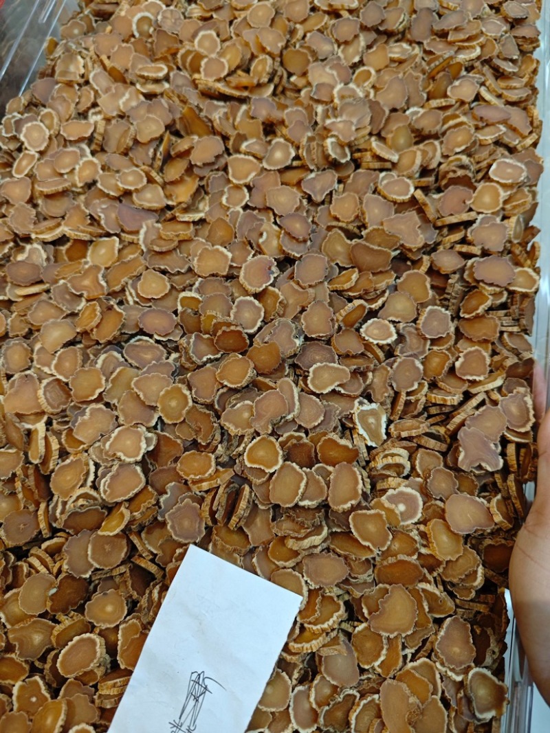 特大高丽参车轮片