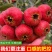 大金星山楂糖葫芦专用山楂