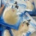 即食牙拣鱼翅300克/包
