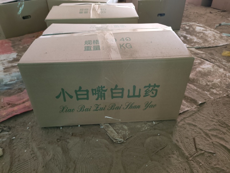 小白嘴白山药产地直发现货一手货源对接全国量大从优