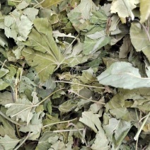 甜茶叶【包邮】三斤起发货可批量可零售量大从优