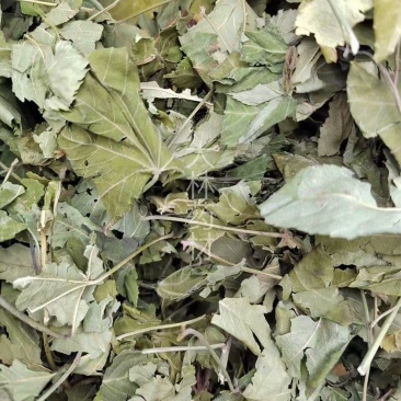 甜茶叶【包邮】三斤起发货可批量可零售量大从优