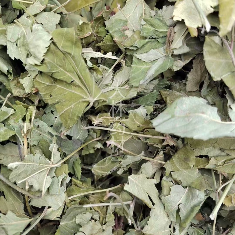 甜茶叶【包邮】三斤起发货可批量可零售量大从优