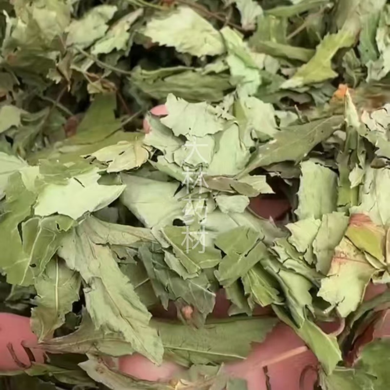 甜茶叶【包邮】三斤起发货可批量可零售量大从优