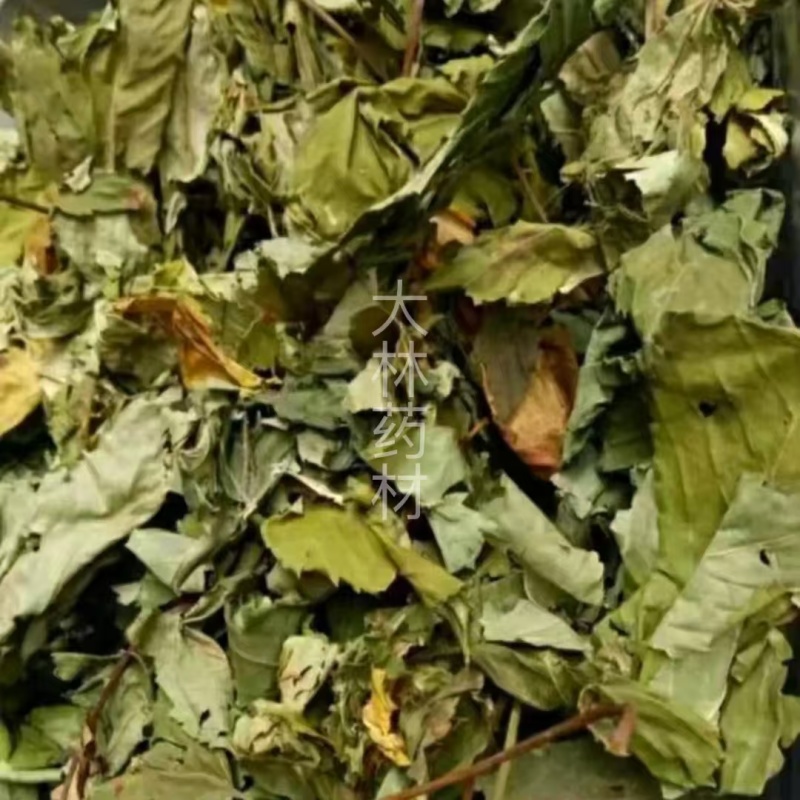 甜茶叶【包邮】三斤起发货可批量可零售量大从优
