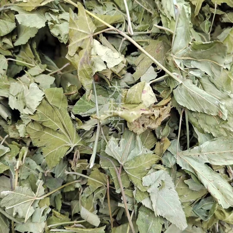 甜茶叶【包邮】三斤起发货可批量可零售量大从优