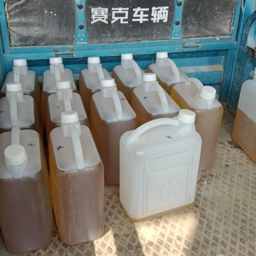 出售纯花生油葵花子油