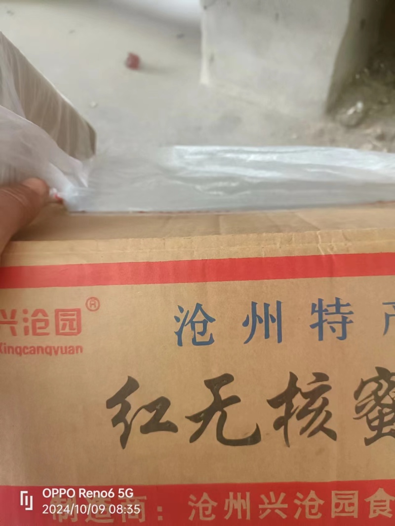 河北沧州无核金丝蜜枣品质保证诚信合作欢迎下单