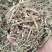 花生秧，南阳新野货源，货源充足，保质保量软包，压块包