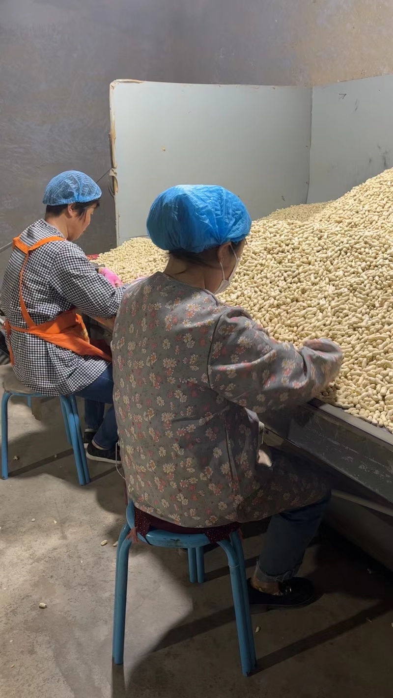 【优选】五香珍珠小花生/量大优惠/全国发货/欢迎咨询