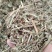 花生秧，南阳新野货源，货源充足，保质保量软包，压块包