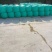 玉米秸杆柔丝小套袋玉米干货源充足，量大从优，河南新野发货