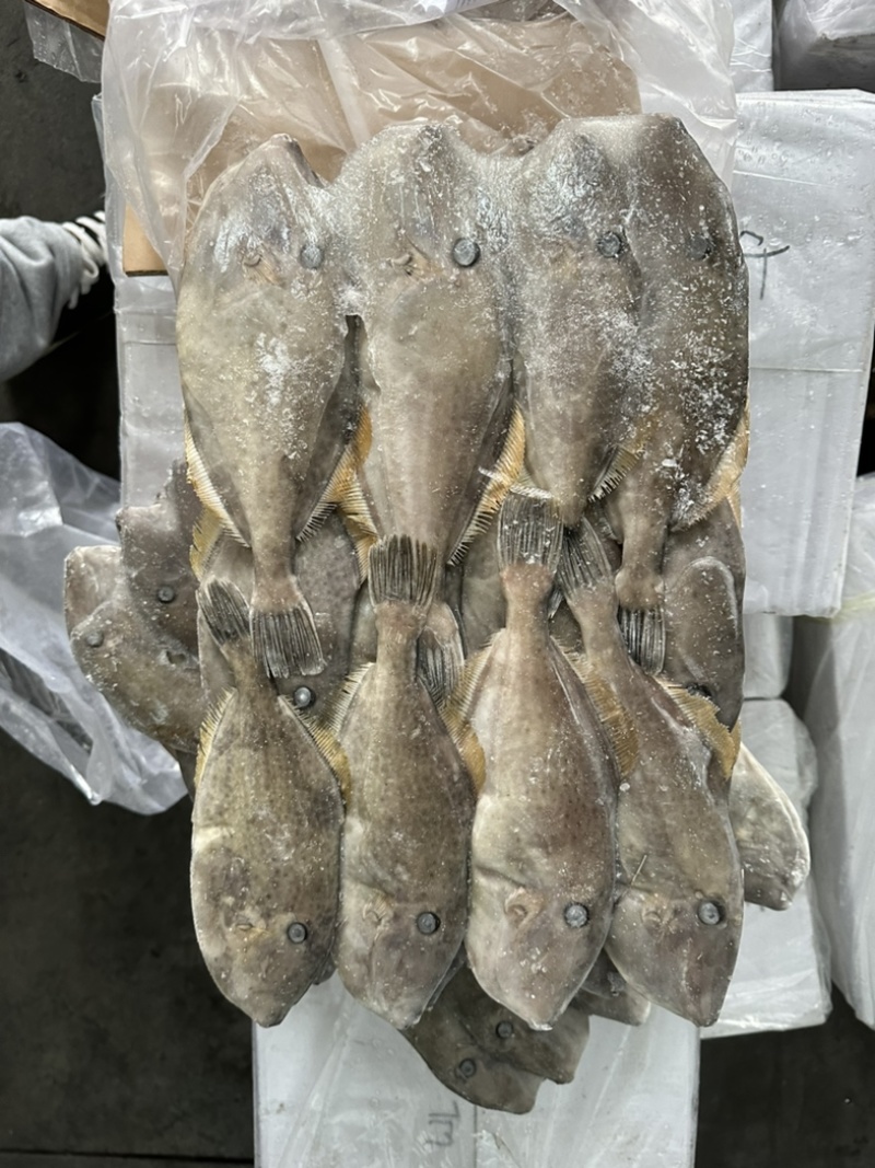 马面鱼100/200。剥皮鱼
