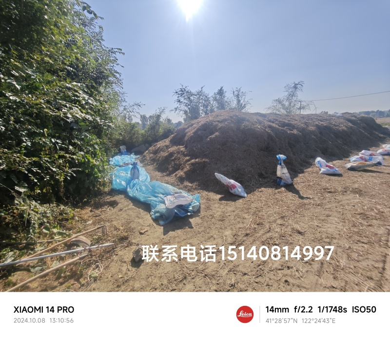 花生秧现收现打现卖质优价廉