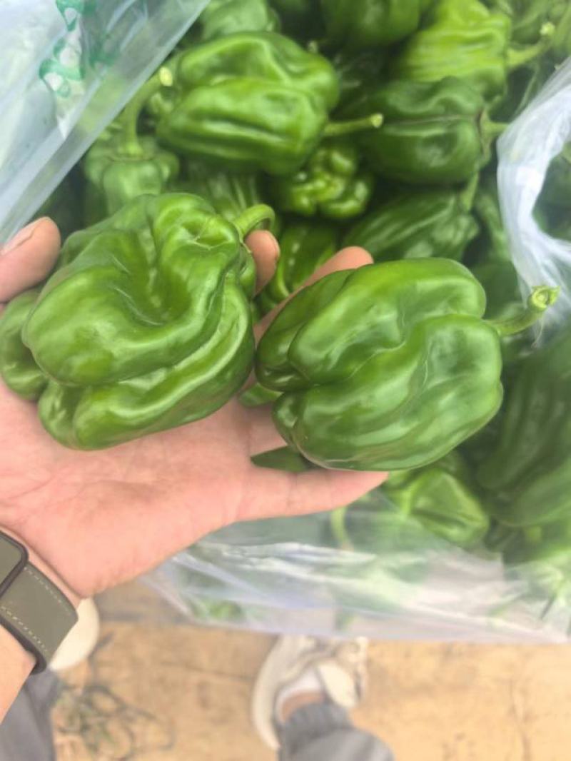 麻椒、三十万亩辣椒原产地