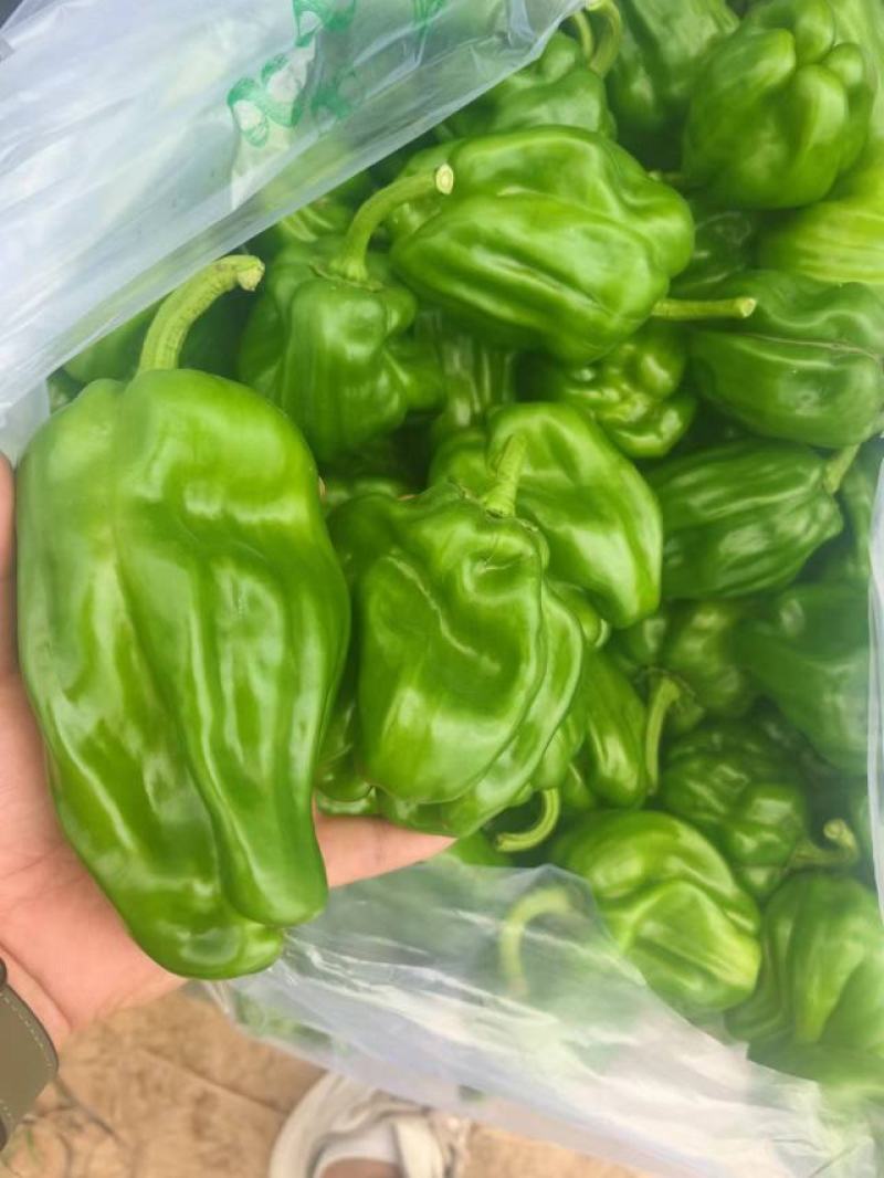 麻椒、三十万亩辣椒原产地