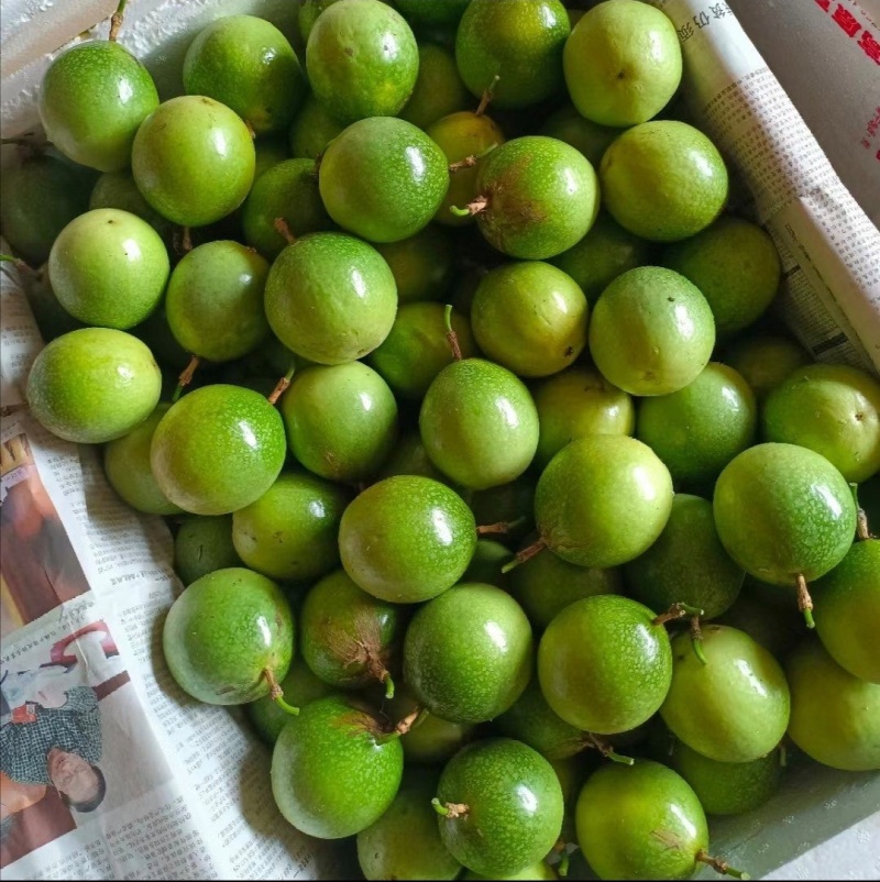 百香果