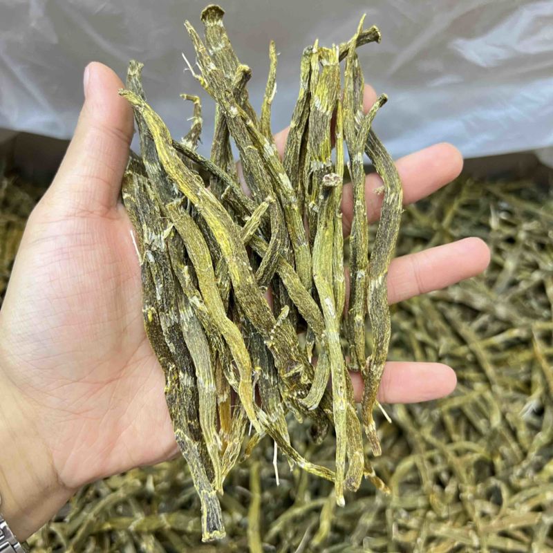 云南珍虫石斛条胶质浓郁现货批发量大可议价欢迎各位来电