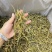 云南珍虫石斛条胶质浓郁现货批发量大可议价欢迎各位来电