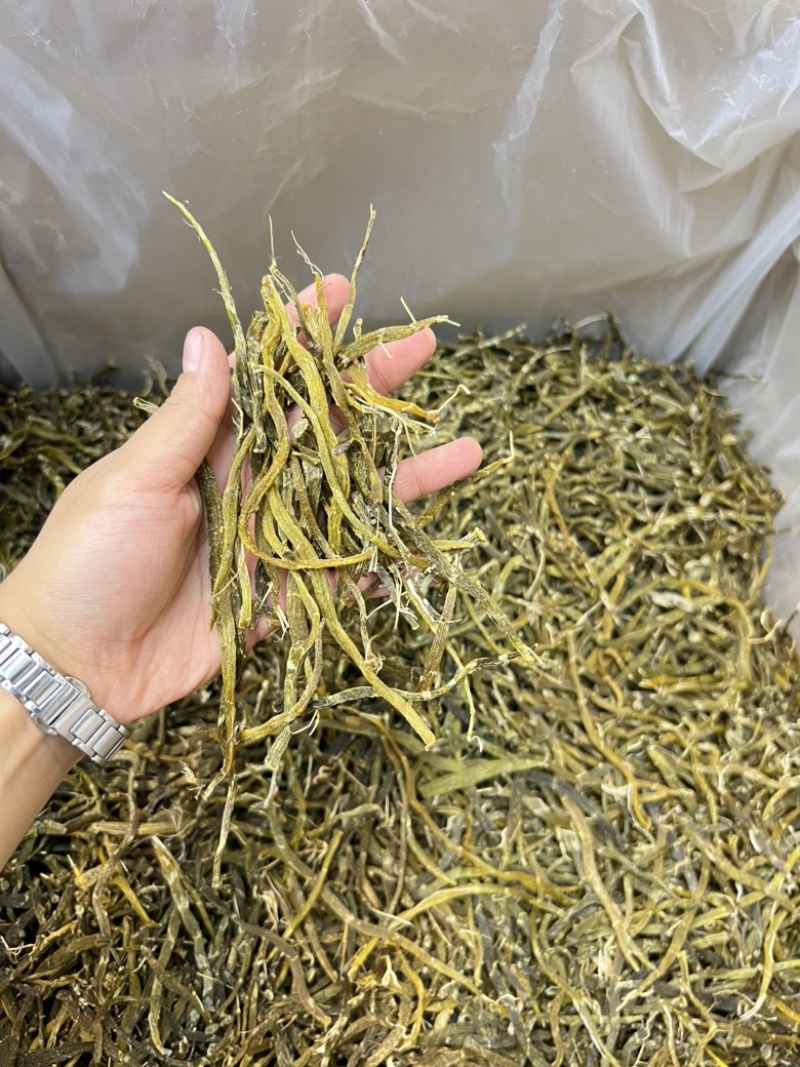 云南珍虫石斛条胶质浓郁现货批发量大可议价欢迎各位来电