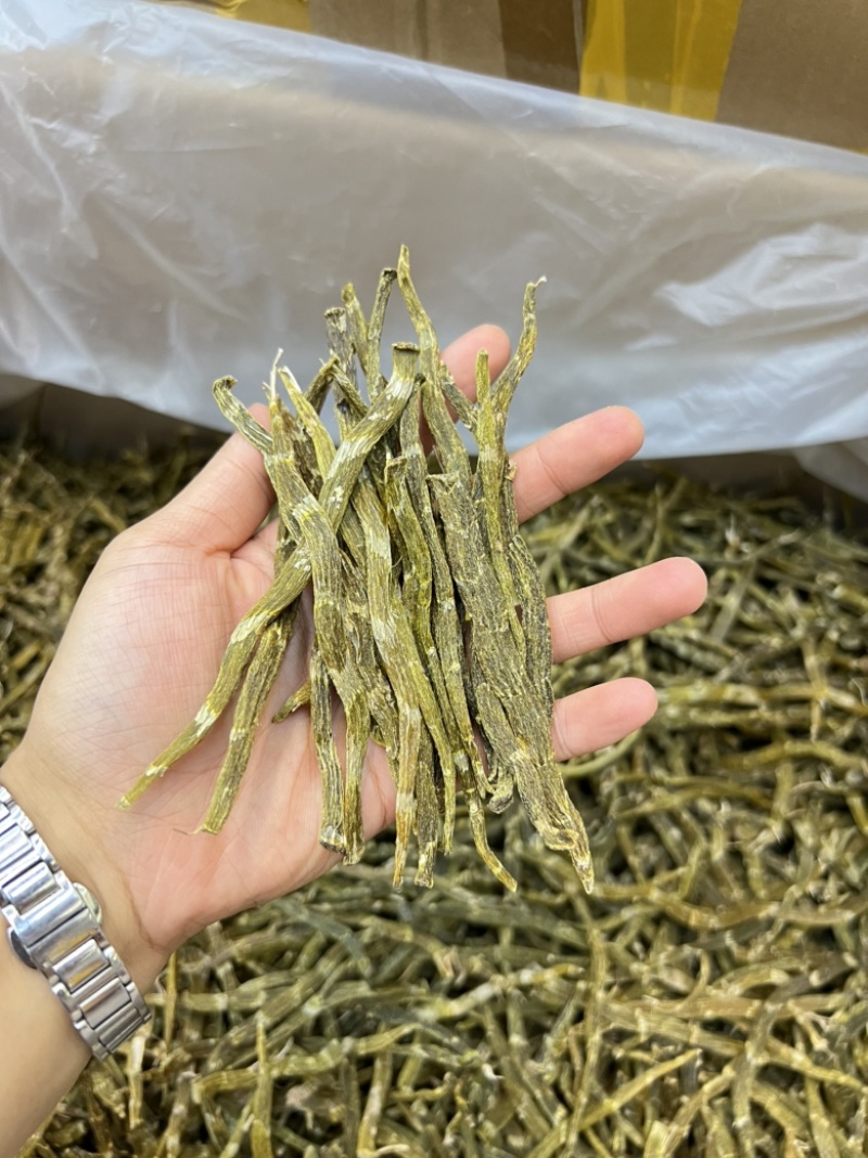 云南珍虫石斛条胶质浓郁现货批发量大可议价欢迎各位来电