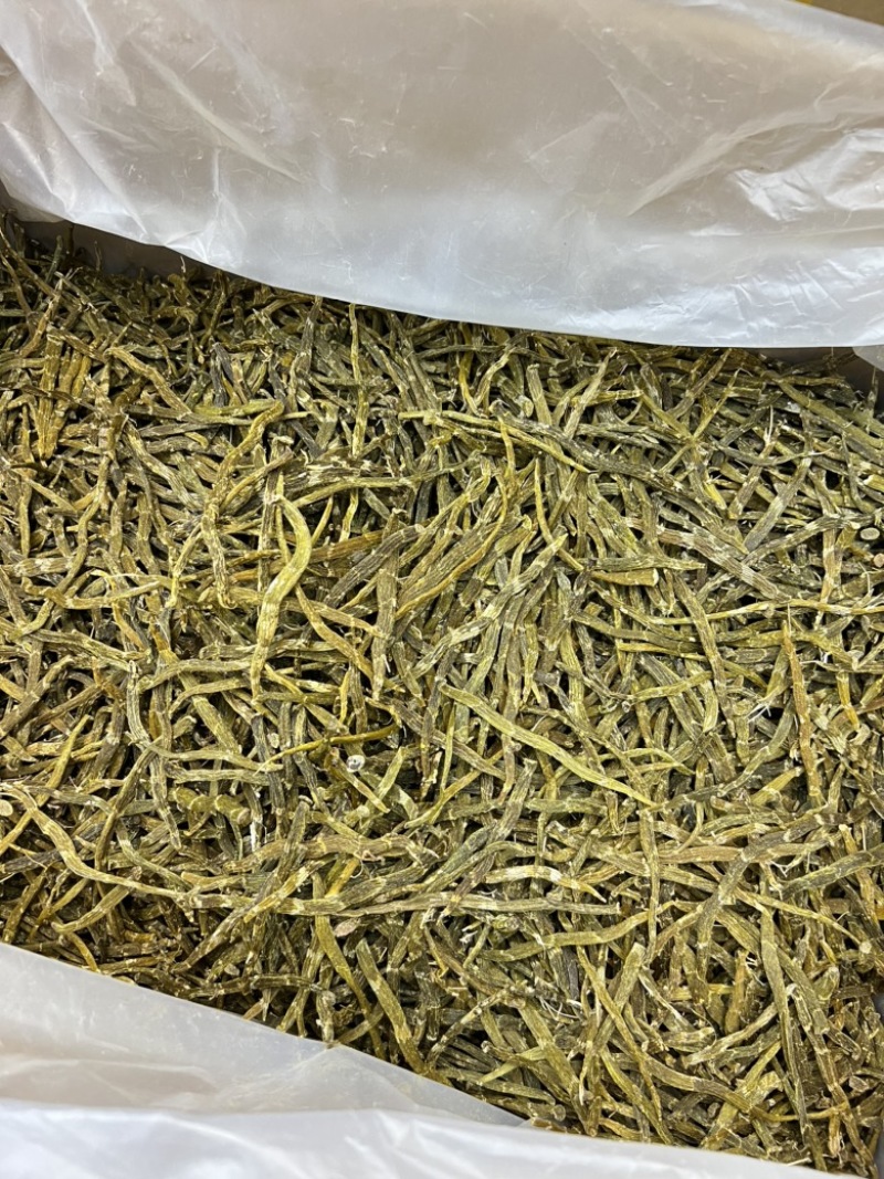 云南珍虫石斛条胶质浓郁现货批发量大可议价欢迎各位来电
