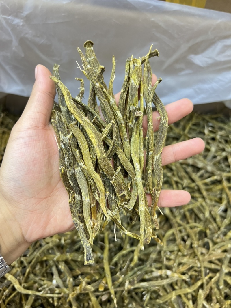 云南珍虫石斛条胶质浓郁现货批发量大可议价欢迎各位来电