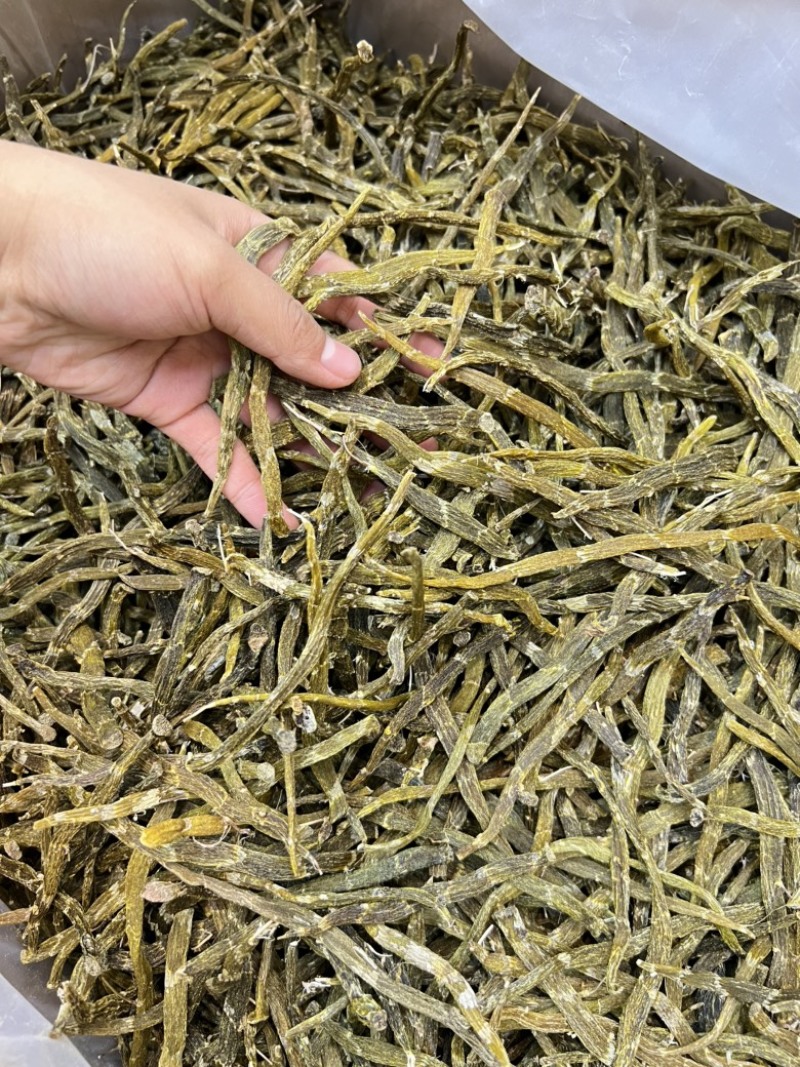 云南珍虫石斛条胶质浓郁现货批发量大可议价欢迎各位来电