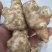 白洋姜种子大量有货，有需要的老板抓紧和我联糸，可预定