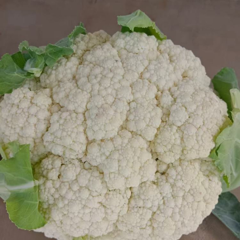 邯郸本地有机菜花，个头均匀，颜色乳白，小米粒，大米粒，