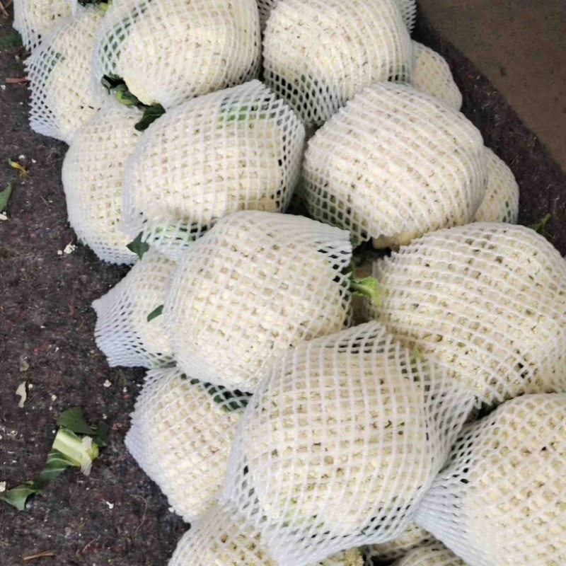 邯郸本地有机菜花，个头均匀，颜色乳白，小米粒，大米粒，