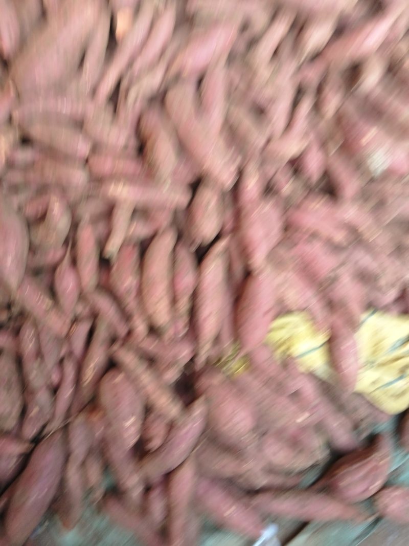 西瓜红小薯残薯