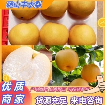 砀山精品丰水梨大量上市产地直发质量保证欢迎订购