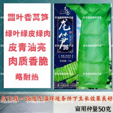 龙笋16莴笋种子圆叶绿皮绿肉香莴笋种子半高桩长棒肉质香脆