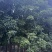 秋枫25～35基地直发规格齐全质量优质