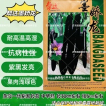 墨娇龙茄子种子紫黑长茄耐高温高湿茄子种子抗倒伏抗病性强茄