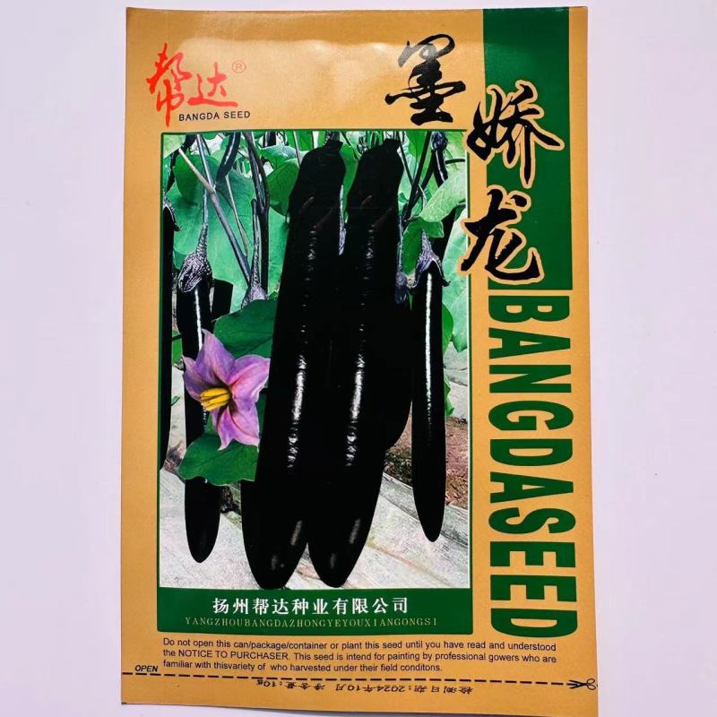 墨娇龙茄子种子紫黑长茄耐高温高湿茄子种子抗倒伏抗病性强茄