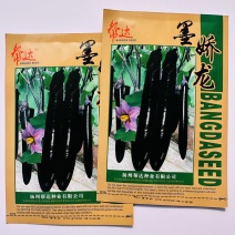 墨娇龙茄子种子紫黑长茄耐高温高湿茄子种子抗倒伏抗病性强茄