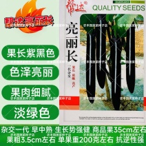 帮达亮丽长茄子种籽春秋杂交早中熟茄籽种长条果皮紫黑色茄子
