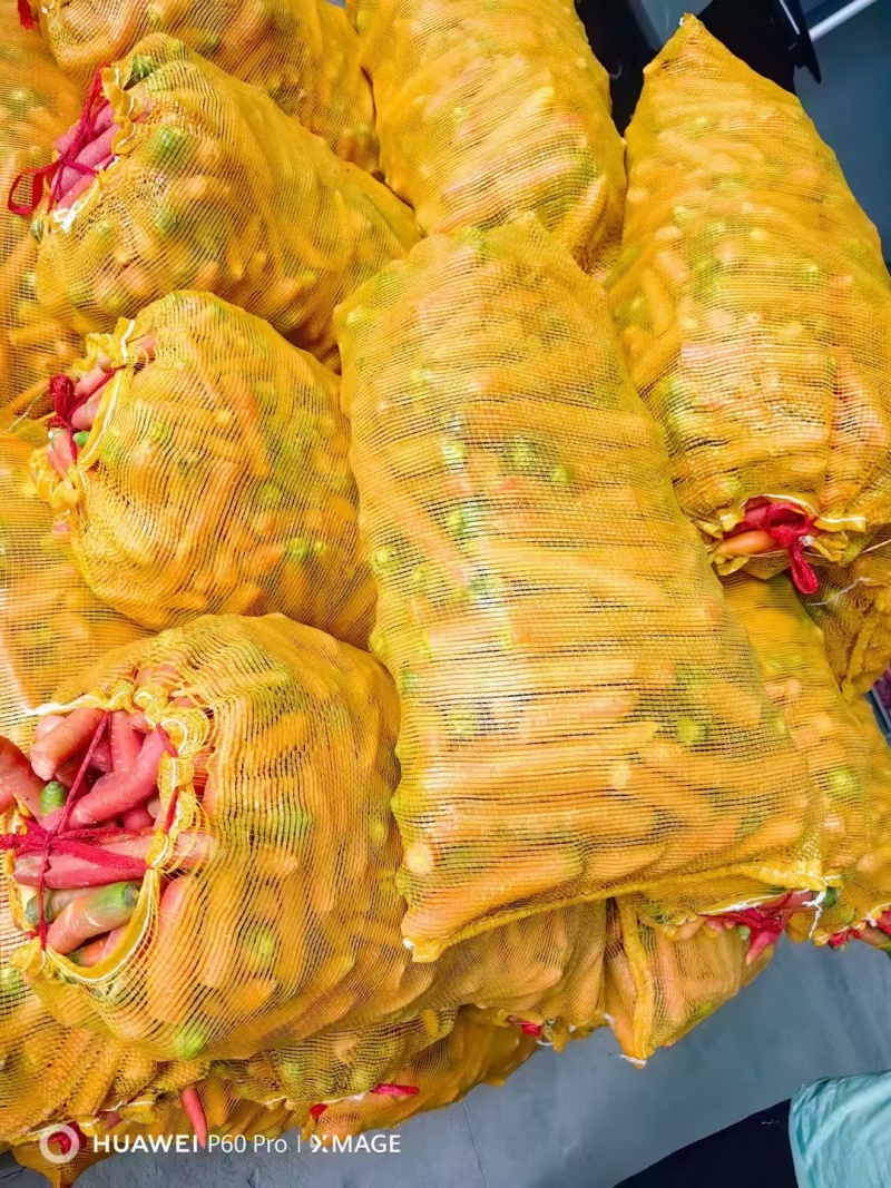 养殖场红萝卜